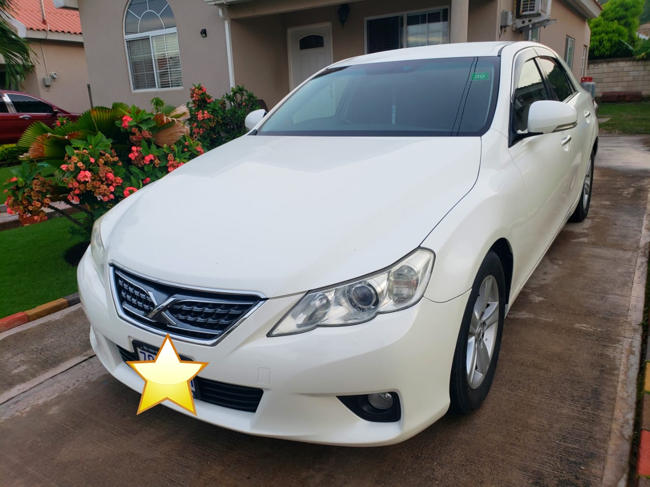 Toyota mark x 250g